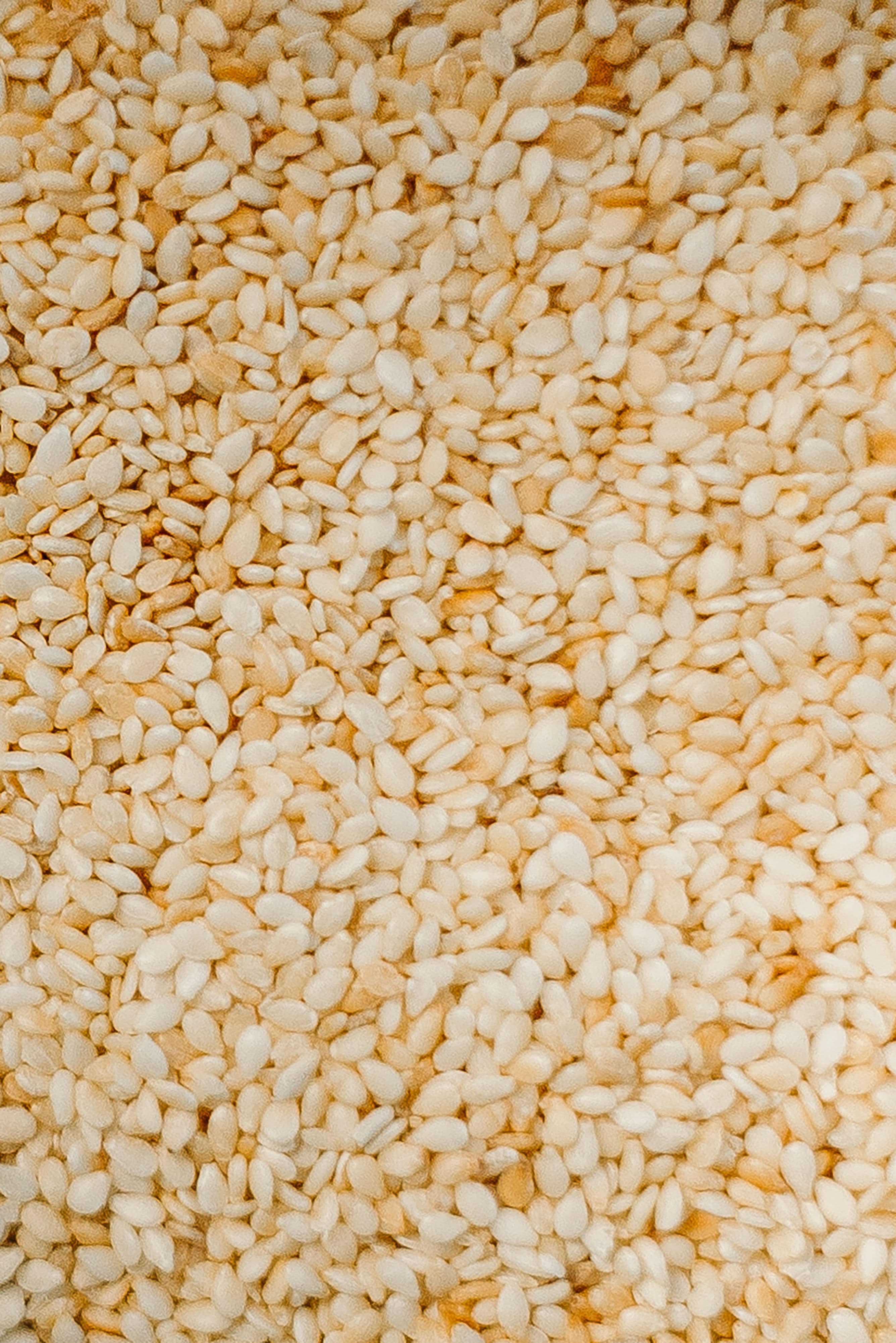 Sesame Seed