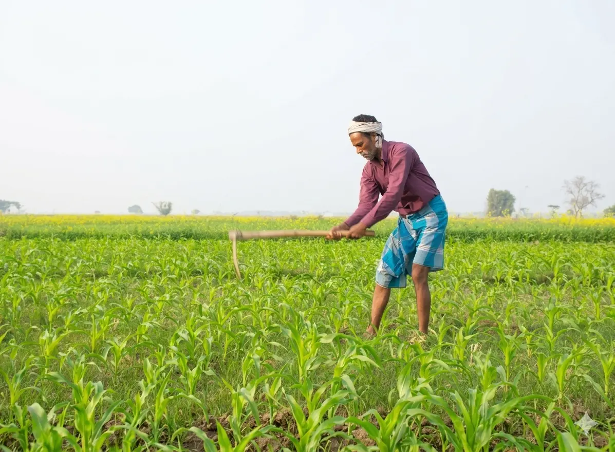 Agricultural products from Green Agro